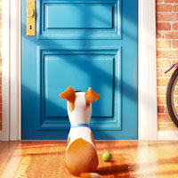 The Secret Life of Pets Numbers
