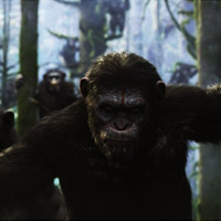 Dawn of the Planet of the Apes