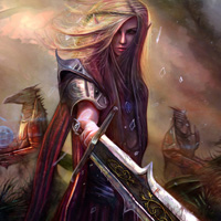 Fantasy Hunter-Hidden Stars