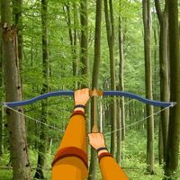 Hidden Targets Forest