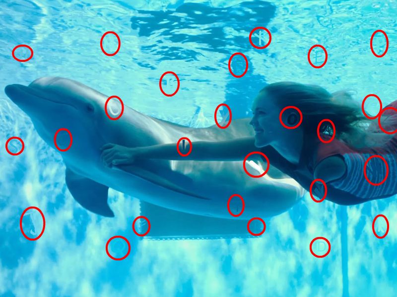 dolphin tale games dolphin tale games