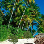 Lost Island