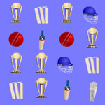 Cricket Match