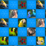 Rio Matching