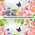 Spring Differences