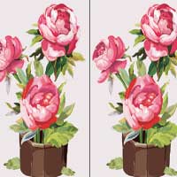 Gouache Flowers Difference World