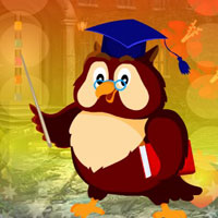 G4K Graduate Owl Escape