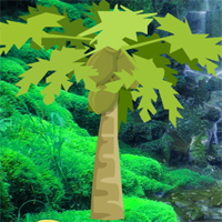 Wow Eastern Forest Escape