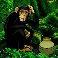 Games2rule Chimpanzee Tangled Escape