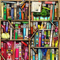 Bookshelves 2 FreeOnlineGames360