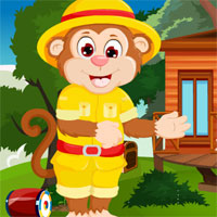 G4K Simian Monkey Rescue