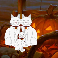Wowescape Halloween White Cat Escape