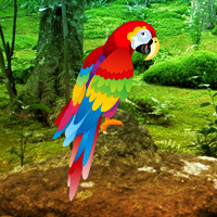 Games2rule Scarlet Macaw Forest Escape