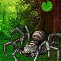 Wow Giant Spider Forest Escape