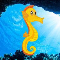 Easy Escape-Seahorse