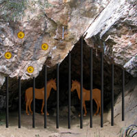 Escape Baby Horse from Rock Forest