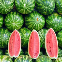 Free online flash games - Watermelon Hidden Numbers