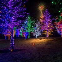 Free online flash games - Night Party Hidden Wreath