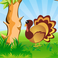 Thanksgiving Turkey Hidden Target