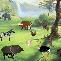 Zoo Hidden Animals