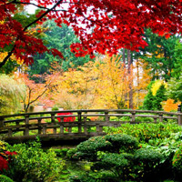Hidden Spot-Nature