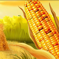 Free online flash games - Hidden Corn Grasshopper