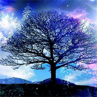 Night Hidden Star