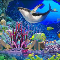 Free online flash games - Underwater Hidden Shell