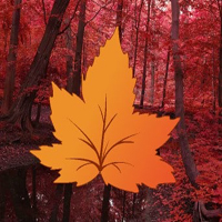 Maple Autumn Forest Escape HTML5