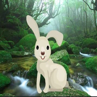 Play Save The Little Rabbit HTML5 Game-Play Free Hidden Objects Games ...