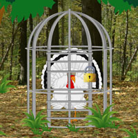 Escape White Turkey from Green Forest