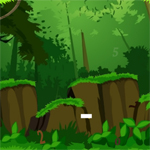 Forest Hidden Numbers