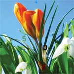 Spring Hidden Numbers