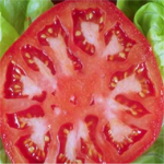 Tomato Hidden Numbers