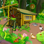 Hidden Angry Birds 911freegames