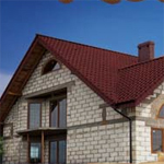 Real Estate Agent