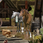 Rural Life