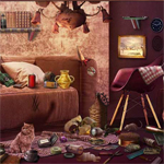 The Interior Designer