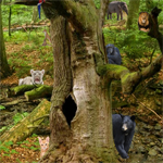 Wild Life