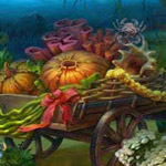 Mysteries Seas Find Objects