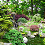 Alphabet Garden