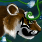 Forest Animals