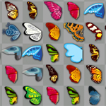 Butterfly Kyodai