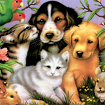 Loveable Pets Jigsaw Puzzle