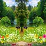 Four Seasons