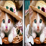 Pet Animals Spot The Difference