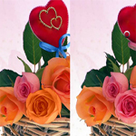 Real Love 5 Differences