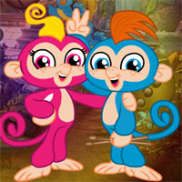 G4k Couple Monkey Rescue
