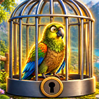 Free online flash games - Set the Kea Bird Free
