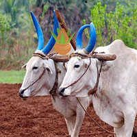 Growth The Plants HTML5